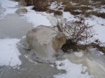 ice-rock
