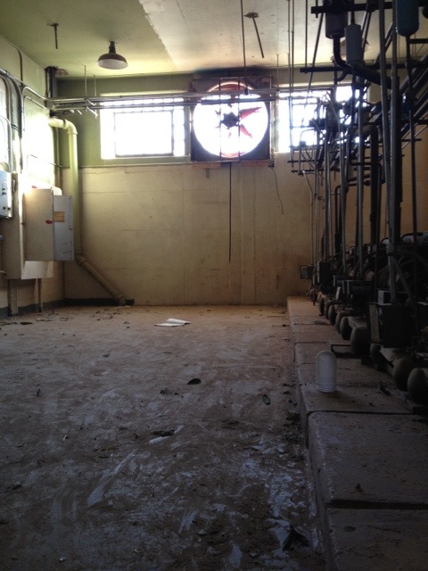 20120219-104356.jpg