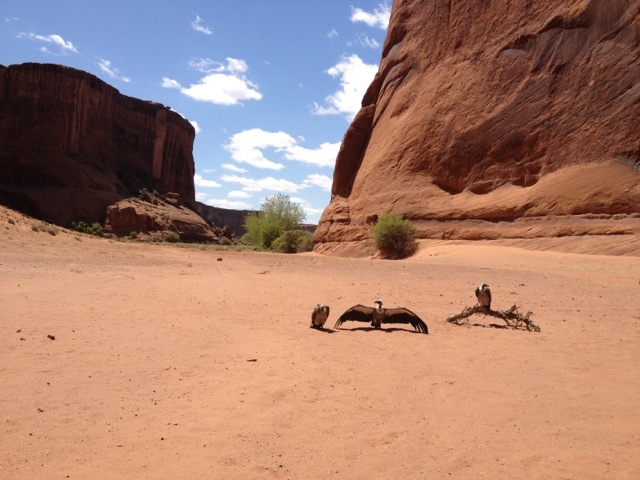 20120419-224552.jpg