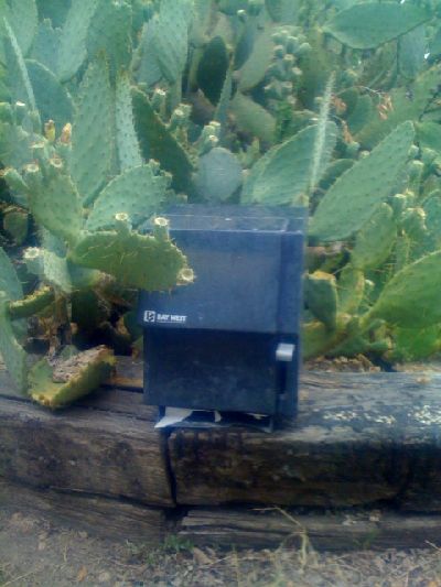 photo.jpg